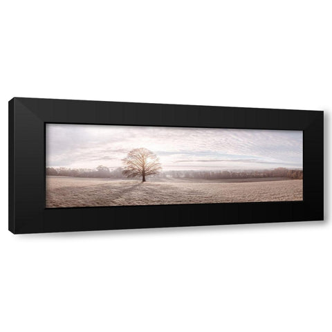 Trees in meadow Black Modern Wood Framed Art Print by Frank, Assaf