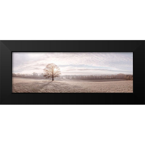 Trees in meadow Black Modern Wood Framed Art Print by Frank, Assaf