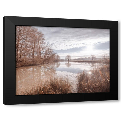 Pond reflection Black Modern Wood Framed Art Print by Frank, Assaf
