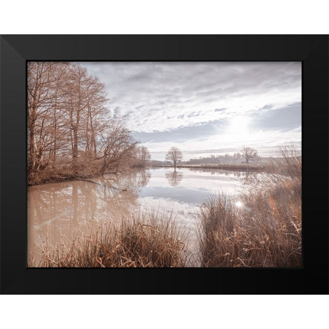 Pond reflection Black Modern Wood Framed Art Print by Frank, Assaf