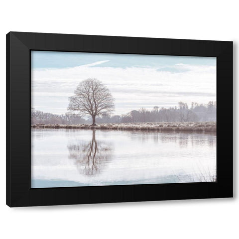Reflection of a tree Black Modern Wood Framed Art Print by Frank, Assaf