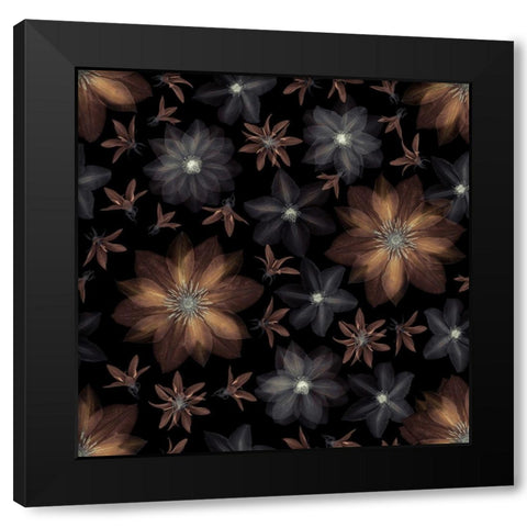 Clematis flowers Black Modern Wood Framed Art Print with Double Matting by Frank, Assaf