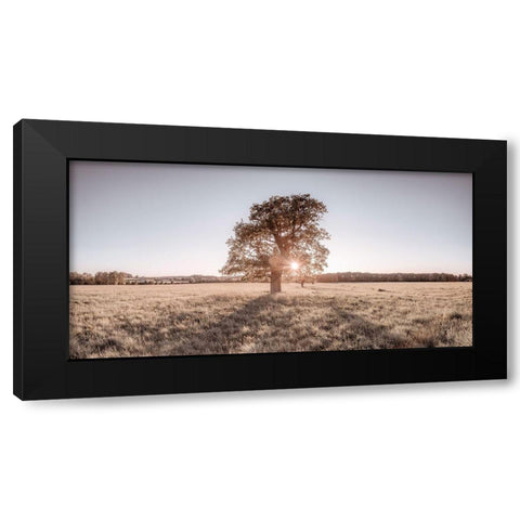 Sun shining through a tree Black Modern Wood Framed Art Print by Frank, Assaf