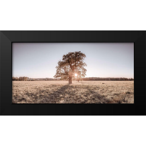Sun shining through a tree Black Modern Wood Framed Art Print by Frank, Assaf