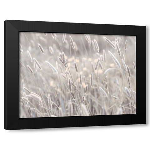 Summer meadow Black Modern Wood Framed Art Print by Frank, Assaf