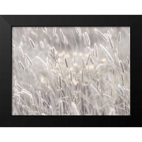 Summer meadow Black Modern Wood Framed Art Print by Frank, Assaf