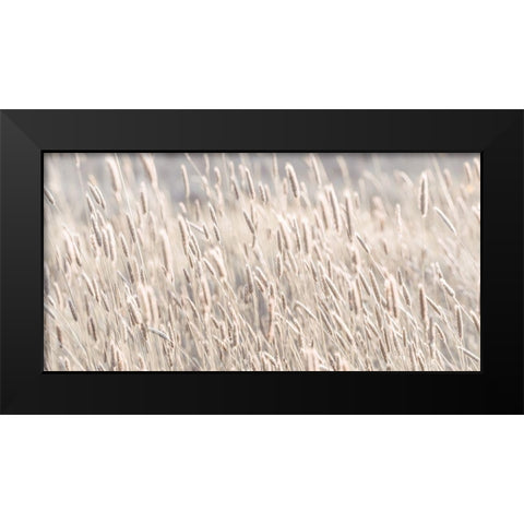 Grass in meadow Black Modern Wood Framed Art Print by Frank, Assaf