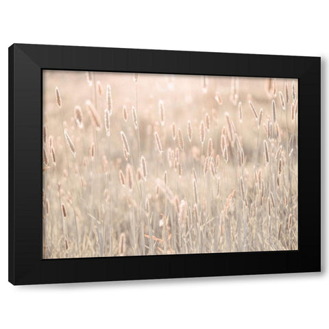 Summer meadow Black Modern Wood Framed Art Print with Double Matting by Frank, Assaf
