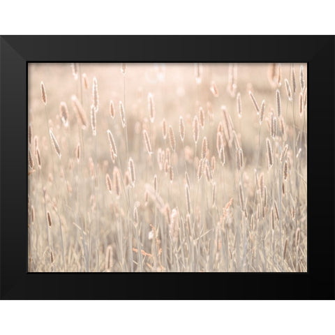Summer meadow Black Modern Wood Framed Art Print by Frank, Assaf