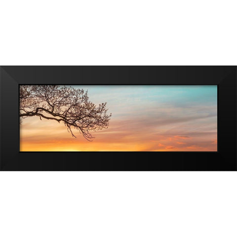 Branches at sunset Black Modern Wood Framed Art Print by Frank, Assaf