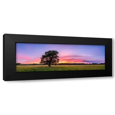 Tree at sunset Black Modern Wood Framed Art Print by Frank, Assaf