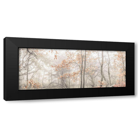 MIsty forest Black Modern Wood Framed Art Print by Frank, Assaf