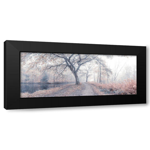 Misty forest Black Modern Wood Framed Art Print with Double Matting by Frank, Assaf