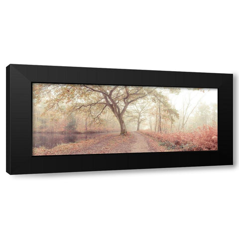 Misty forest Black Modern Wood Framed Art Print with Double Matting by Frank, Assaf