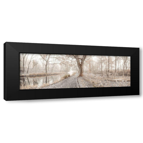 Misty forest Black Modern Wood Framed Art Print by Frank, Assaf