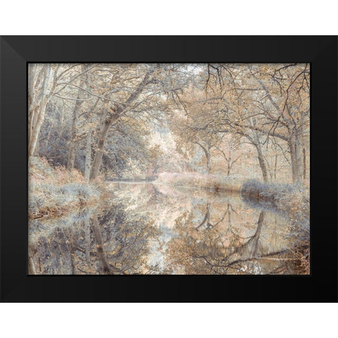 Canal through forest Black Modern Wood Framed Art Print by Frank, Assaf
