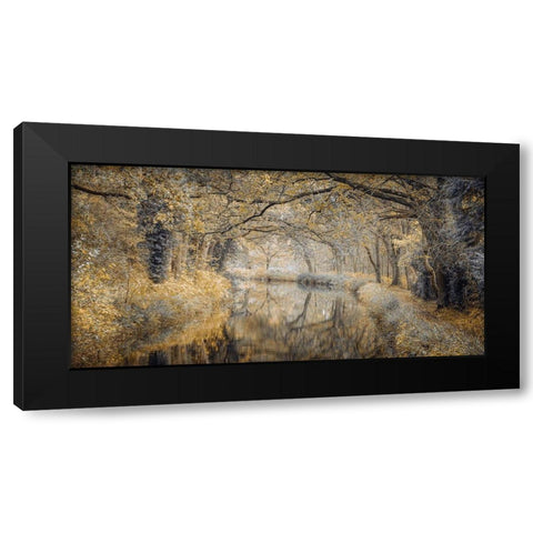 Canal through forest Black Modern Wood Framed Art Print by Frank, Assaf