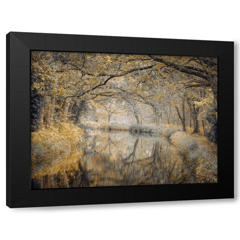 Canal through forest Black Modern Wood Framed Art Print with Double Matting by Frank, Assaf