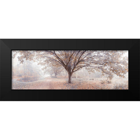 Canal through forest Black Modern Wood Framed Art Print by Frank, Assaf