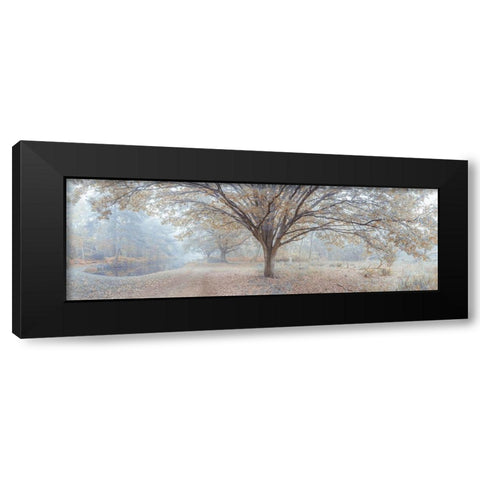 Canal through forest Black Modern Wood Framed Art Print with Double Matting by Frank, Assaf