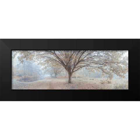 Canal through forest Black Modern Wood Framed Art Print by Frank, Assaf