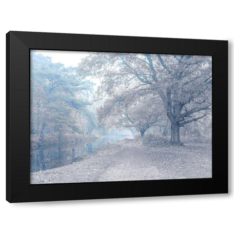 Misty Canal-Autumn Black Modern Wood Framed Art Print with Double Matting by Frank, Assaf
