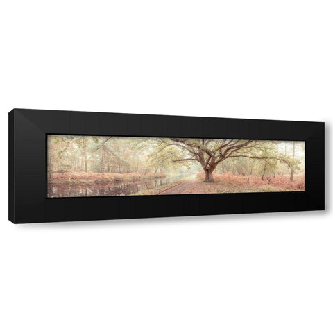 Canal through forest Black Modern Wood Framed Art Print with Double Matting by Frank, Assaf