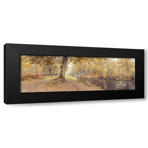Canal through forest Black Modern Wood Framed Art Print with Double Matting by Frank, Assaf