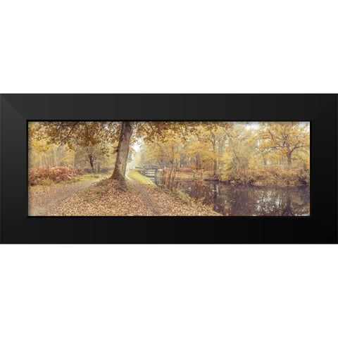 Canal through forest Black Modern Wood Framed Art Print by Frank, Assaf
