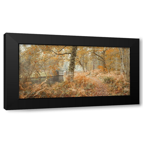 Canal through forest Black Modern Wood Framed Art Print by Frank, Assaf