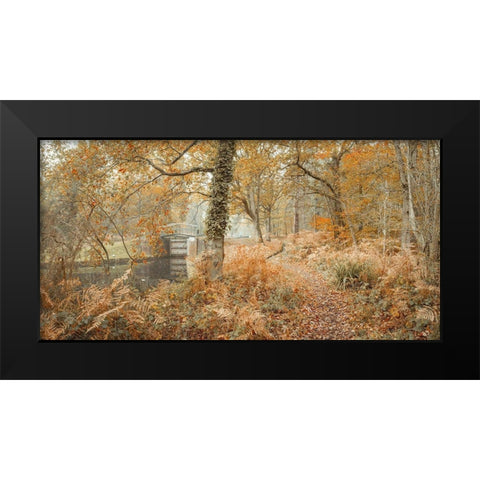 Canal through forest Black Modern Wood Framed Art Print by Frank, Assaf