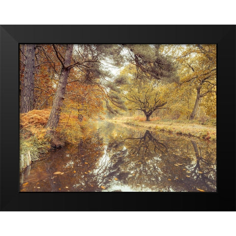 Canal through forest Black Modern Wood Framed Art Print by Frank, Assaf