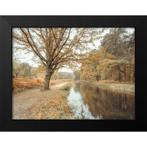 Canal through forest Black Modern Wood Framed Art Print by Frank, Assaf