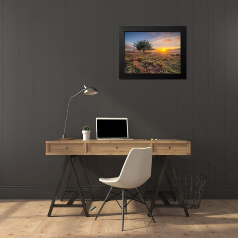 Lone tree sunset-New Forest Black Modern Wood Framed Art Print by Frank, Assaf