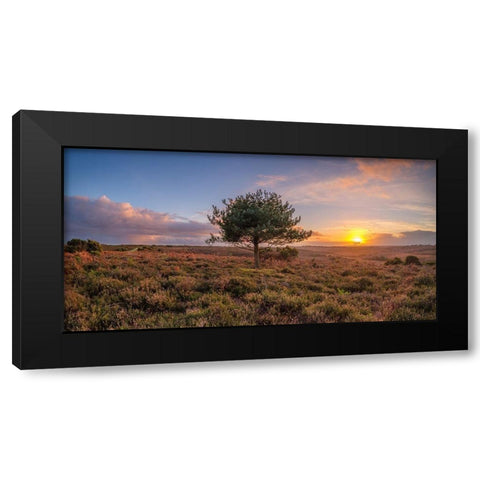 Single tree in meadow Black Modern Wood Framed Art Print with Double Matting by Frank, Assaf