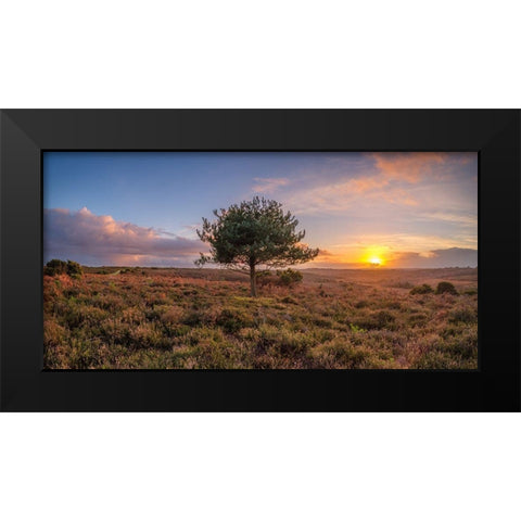 Single tree in meadow Black Modern Wood Framed Art Print by Frank, Assaf