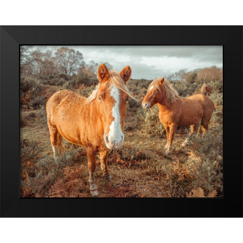 Horses in forest Black Modern Wood Framed Art Print by Frank, Assaf