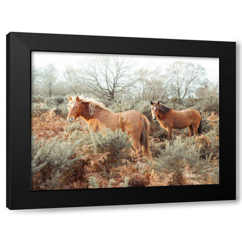 Horses in forest Black Modern Wood Framed Art Print by Frank, Assaf