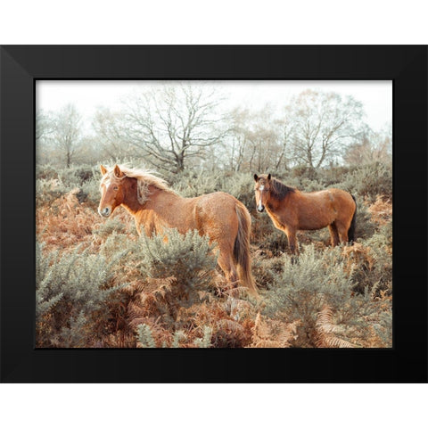 Horses in forest Black Modern Wood Framed Art Print by Frank, Assaf
