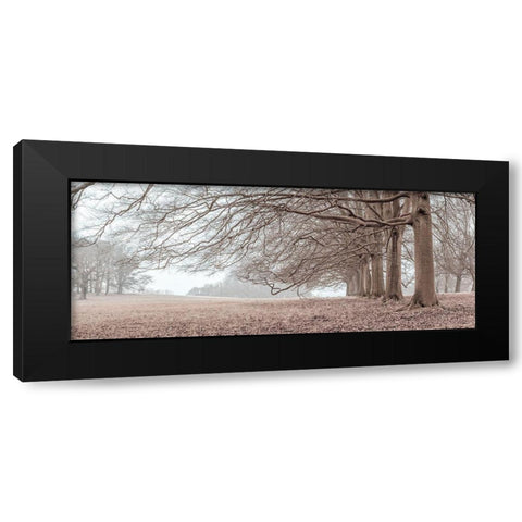 Trees in a row Black Modern Wood Framed Art Print with Double Matting by Frank, Assaf