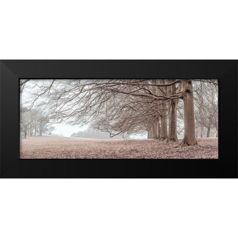 Trees in a row Black Modern Wood Framed Art Print by Frank, Assaf