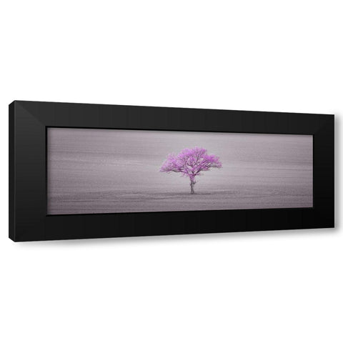 Single tree in foggy field Black Modern Wood Framed Art Print by Frank, Assaf