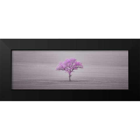 Single tree in foggy field Black Modern Wood Framed Art Print by Frank, Assaf