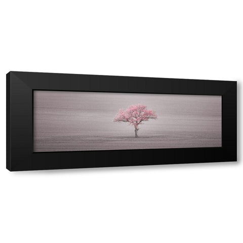 Single tree in foggy field Black Modern Wood Framed Art Print by Frank, Assaf