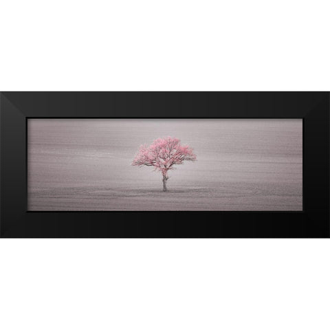 Single tree in foggy field Black Modern Wood Framed Art Print by Frank, Assaf
