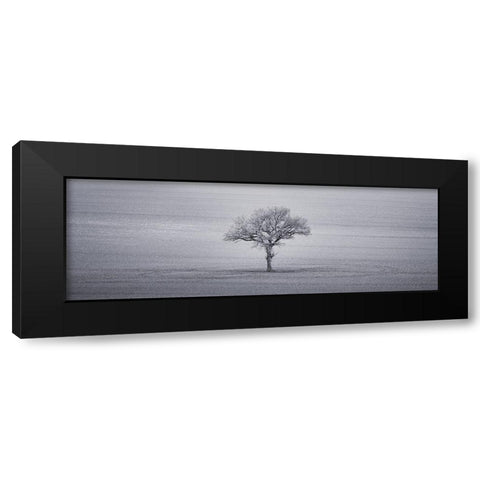 Single tree in foggy grassfield Black Modern Wood Framed Art Print by Frank, Assaf