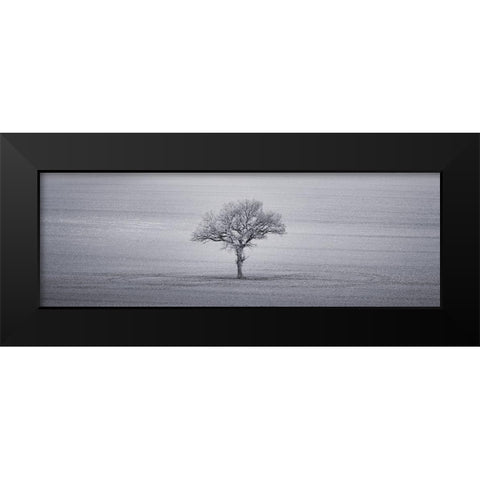 Single tree in foggy grassfield Black Modern Wood Framed Art Print by Frank, Assaf