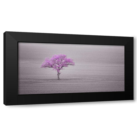Single tree in foggy grassfield Black Modern Wood Framed Art Print with Double Matting by Frank, Assaf