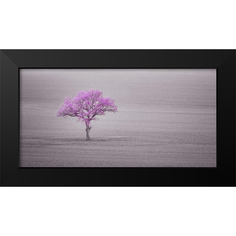 Single tree in foggy grassfield Black Modern Wood Framed Art Print by Frank, Assaf