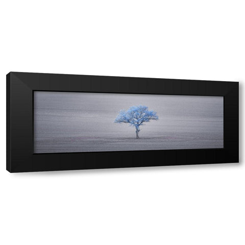 Single tree in foggy grassfield Black Modern Wood Framed Art Print with Double Matting by Frank, Assaf
